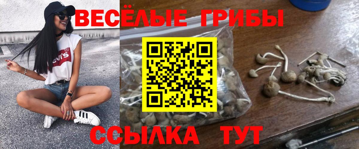 Мирный  Галлюциногенные грибы мицелий  Вход с VPN  магазин  наркотиков  Галлюциногенные грибы прущие грибы 