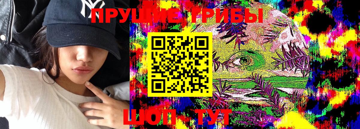 Псилоцибиновые грибы Psilocybine cubensis Мирный